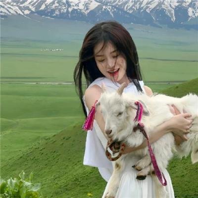 爱狗在心眼难开