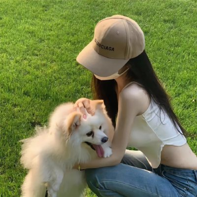 企鹅家族